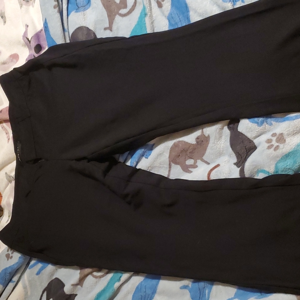 Torrid dress pants
